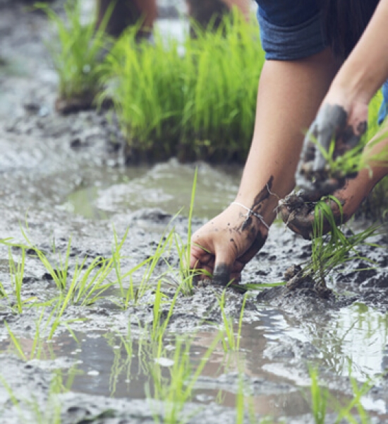 Exemplo de notícia cadastrada no blog