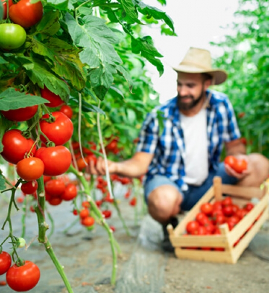 Exemplo de notícia cadastrada no blog