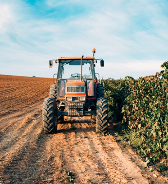 Exemplo de notícia cadastrada no blog